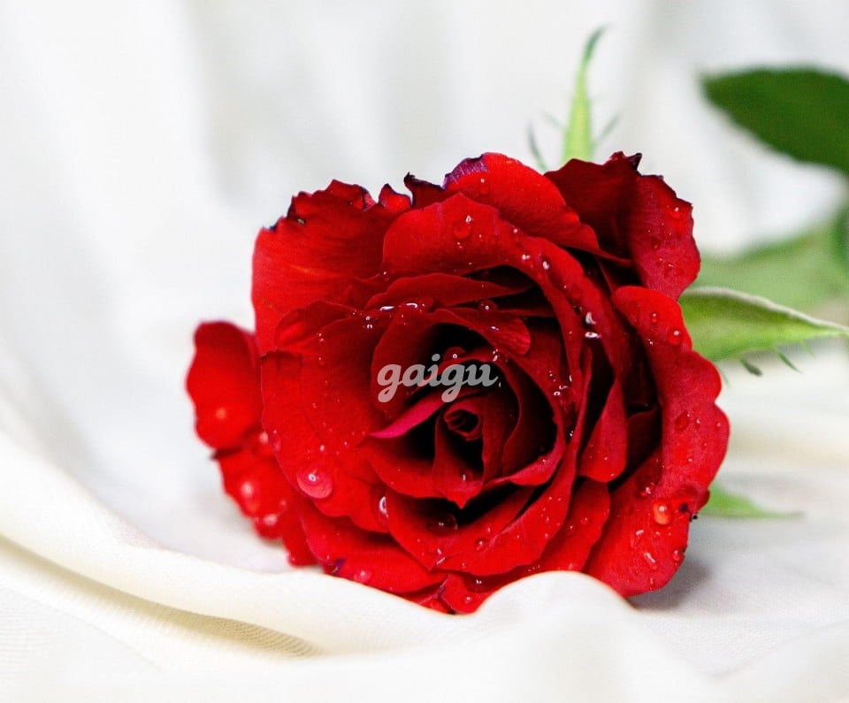 New❤2k1 Em Gái Teen Non❤Bé Na Mới Vào Làm❤Tình Cảm Cuốn Hút❤Làm Say Đắm Bao Nhiêu Con Tim.