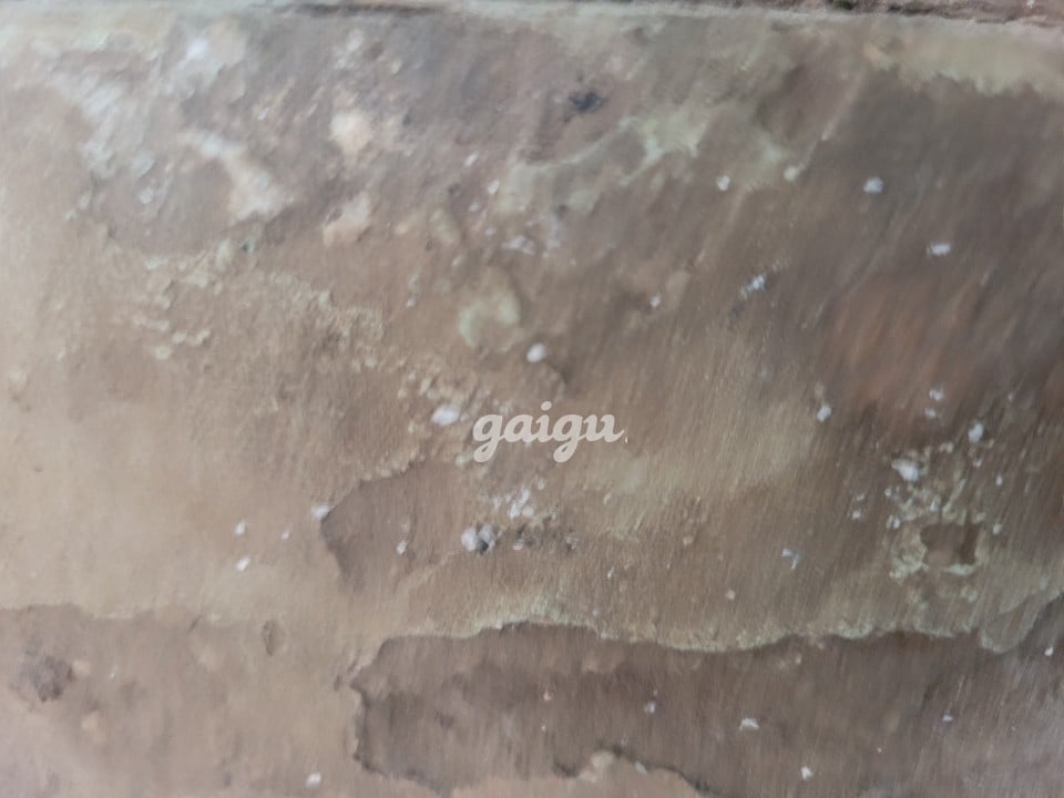 Lệ Lệ. Gái quê 100% ngày đầu vào nghề gặp là ghiền.