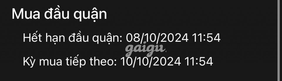 Thảo Mai - Lần Đầu Làm Web - Ngon Ngọt