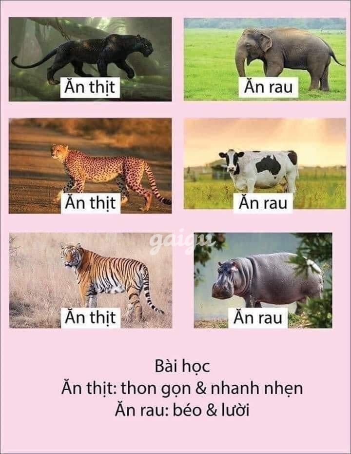 ❤️BÍCH LIỄU❤️ Xinh Xắn, Boby Gợi Dục , Vui vẻ , Tình Cảm
