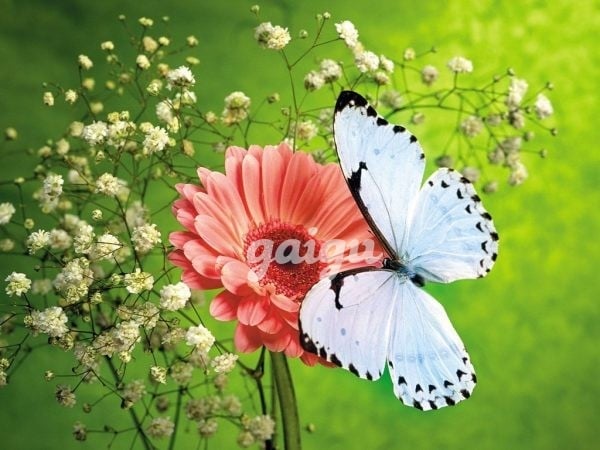 NEW✅ NGỌC LINH 2K2 MI NHON, CÁ TÍNH,DÁNG NUỘT,FACE XINH XẮN