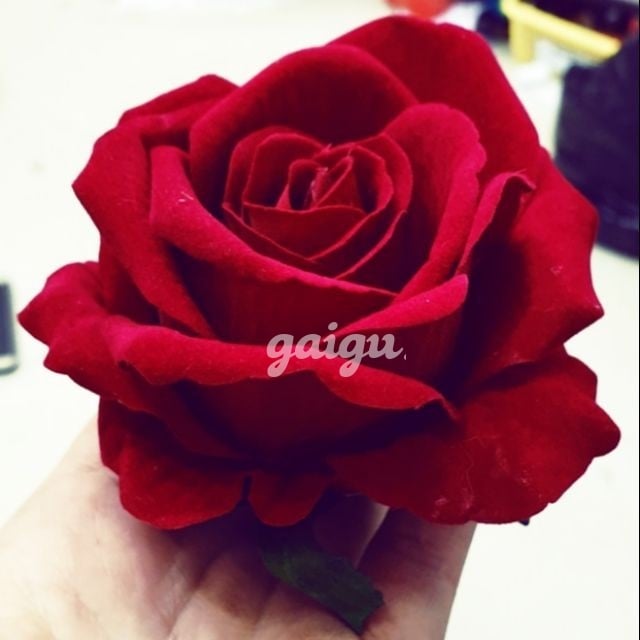 PROFILE SIÊU KHỦNG❤QUỲNH THƯ ❤SIÊU VIP, SIÊU HIẾM DUY NHẤT MÌNH EM